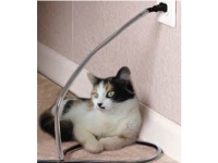 Chewsafe used to protect electrical wires from chewing cat